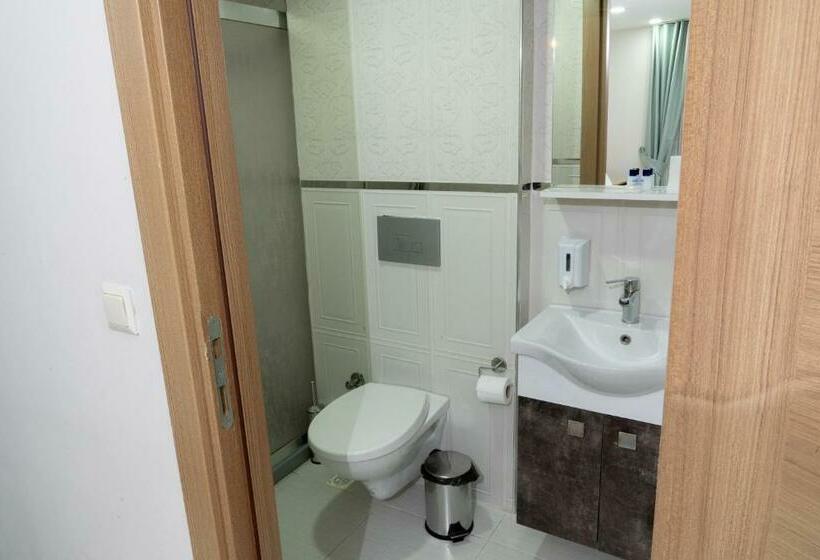 اتاق استاندارد, Loss