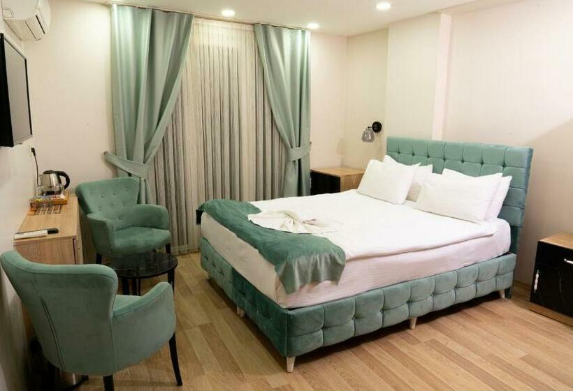 اتاق استاندارد, Loss