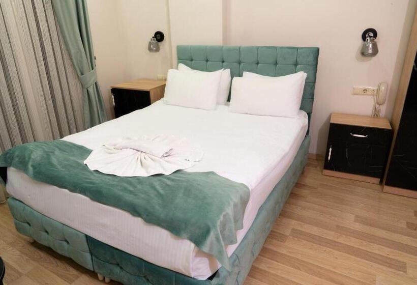 اتاق استاندارد, Loss