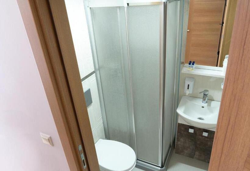 اتاق اکونومی یک تخته, Loss