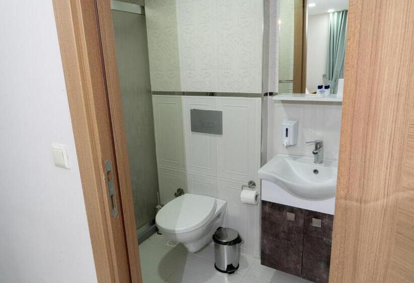 اتاق اکونومی, Loss