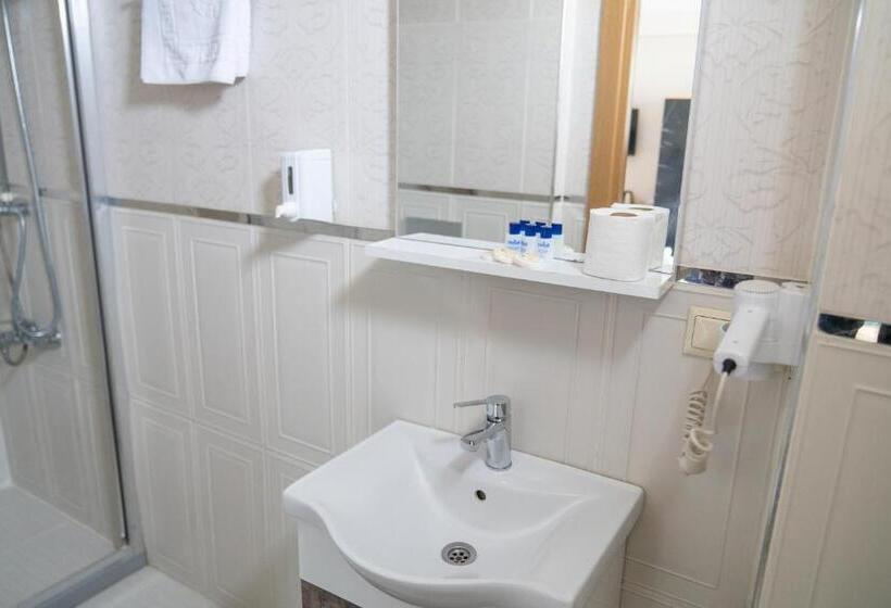 Economy Triple Room, Loss