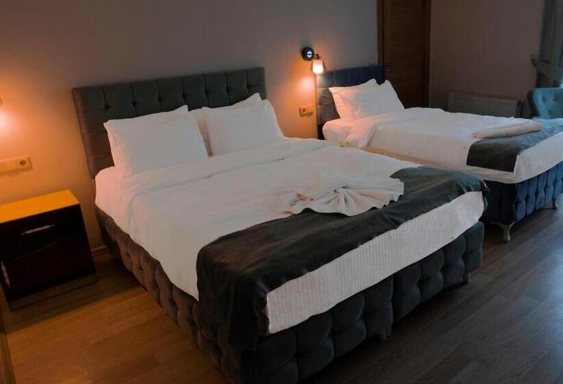 Economy Triple Room, Loss