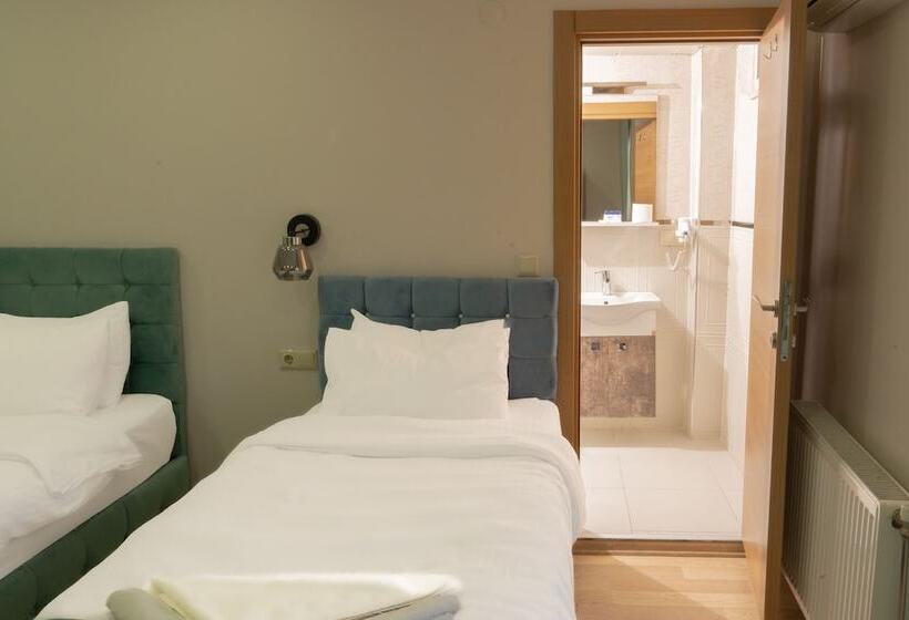 Economy Triple Room, Loss