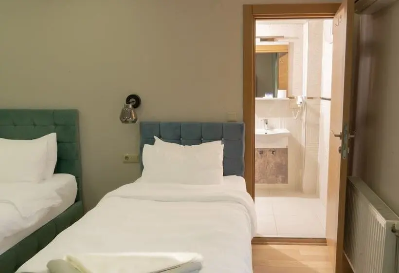 Economy Triple Room, Loss
