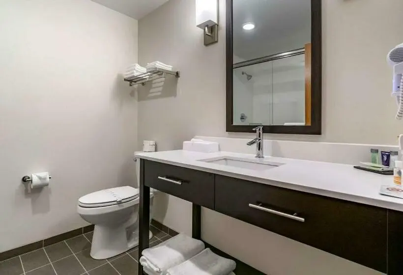 キングサイズベッドのスタンダードルーム, Sleep Inn & Suites Wenatchee/leavenworth