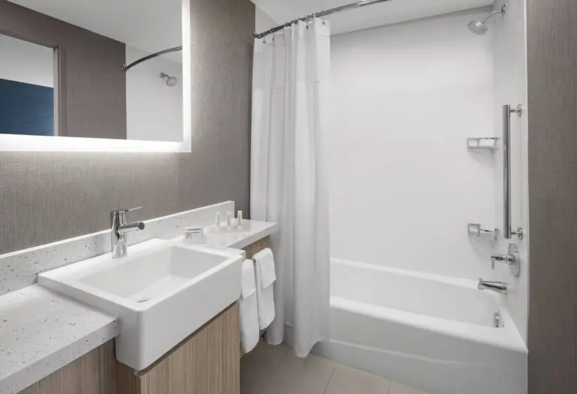 ダブルベッドのスタンダードスタジオ, Springhill Suites By Marriott East Rutherford Meadowlands Carlstadt