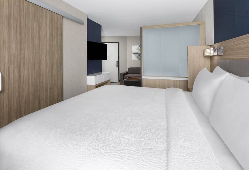 Студия Стандарт Двуспальная Кровать, Springhill Suites By Marriott East Rutherford Meadowlands Carlstadt