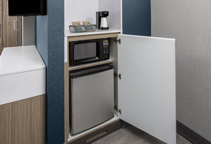 Студия Стандарт Двуспальная Кровать, Springhill Suites By Marriott East Rutherford Meadowlands Carlstadt