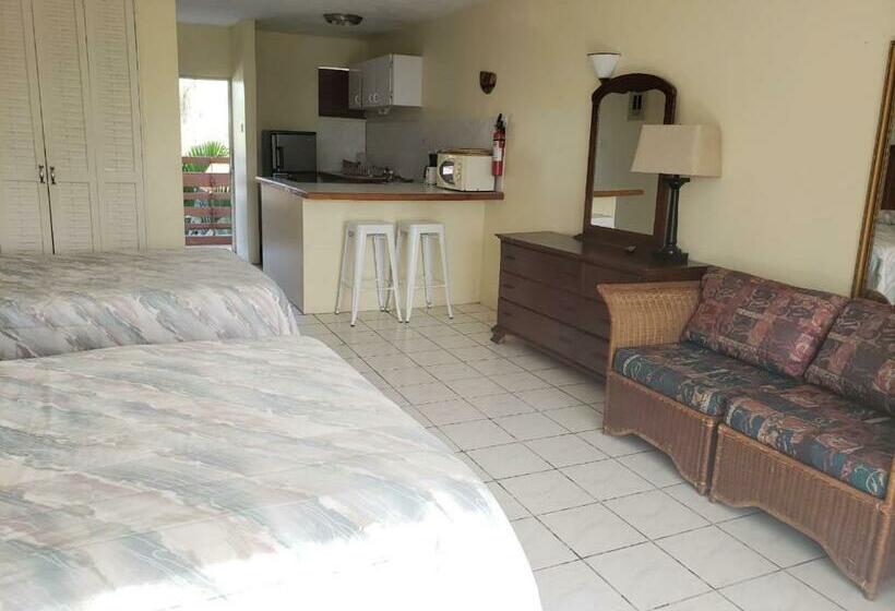 استودیو استاندارد با بالکن, Negril Beach Club Condos
