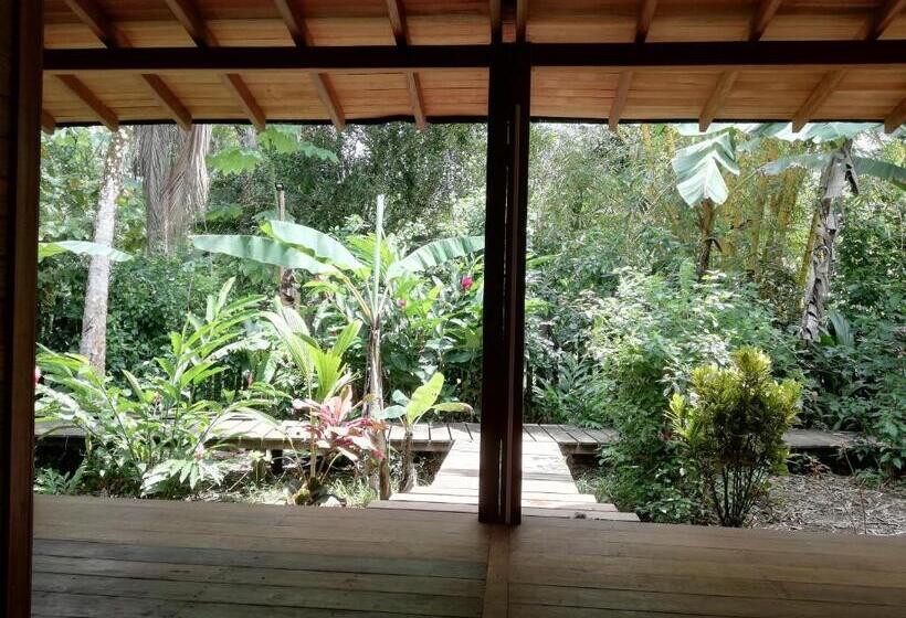 Bungalow Standard Vue Jardin, La Tarima Del Colibri Ecolodge
