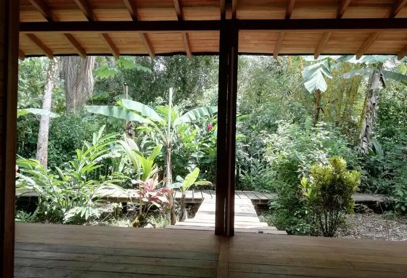 ガーデンビューのスタンダードバンガロー, La Tarima Del Colibri Ecolodge