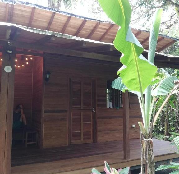 Bungalow Standard Vue Jardin, La Tarima Del Colibri Ecolodge