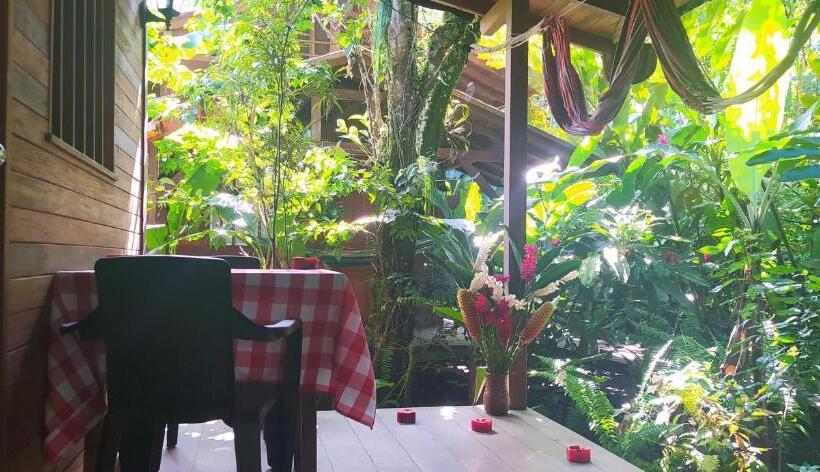 Bungalow Standard Vue Jardin, La Tarima Del Colibri Ecolodge