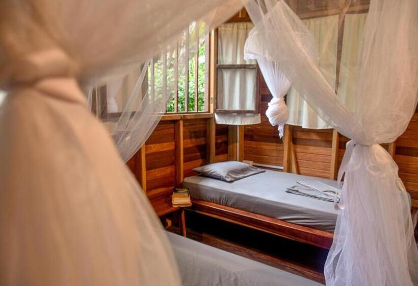 Bungalow Standard Vue Jardin, La Tarima Del Colibri Ecolodge