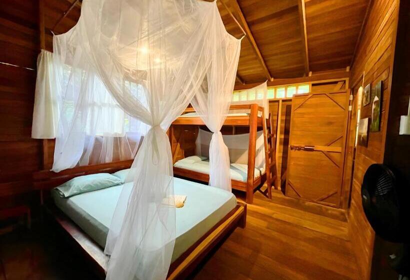 Quarto Quádruplo Estandar, La Tarima Del Colibri Ecolodge