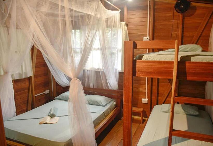 Chambre Quadruple Standard, La Tarima Del Colibri Ecolodge