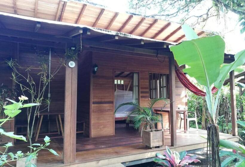 Bungalow Standard Vue Jardin, La Tarima Del Colibri Ecolodge