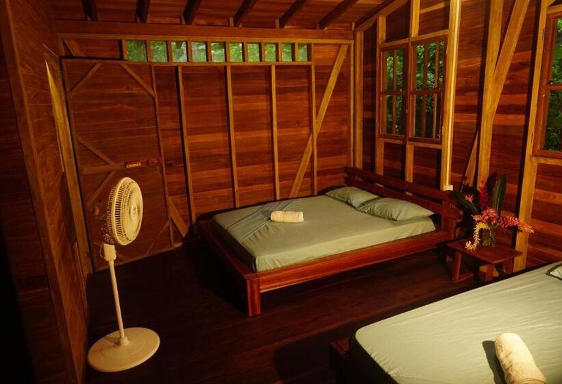 Bungalow Standard Vista Jardim, La Tarima Del Colibri Ecolodge