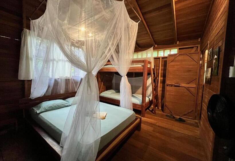 Chambre Quadruple Standard, La Tarima Del Colibri Ecolodge