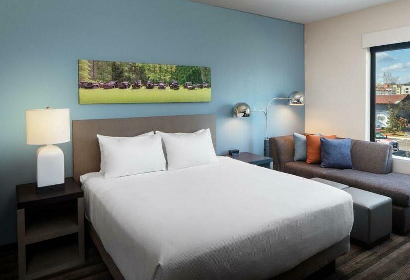 חדר סטנדרט עם מיטת קינג, Hyatt House Tallahassee Capitol University