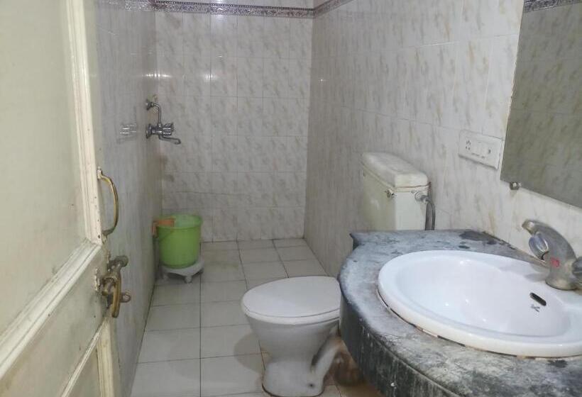 Номер Basic, Mrignayani