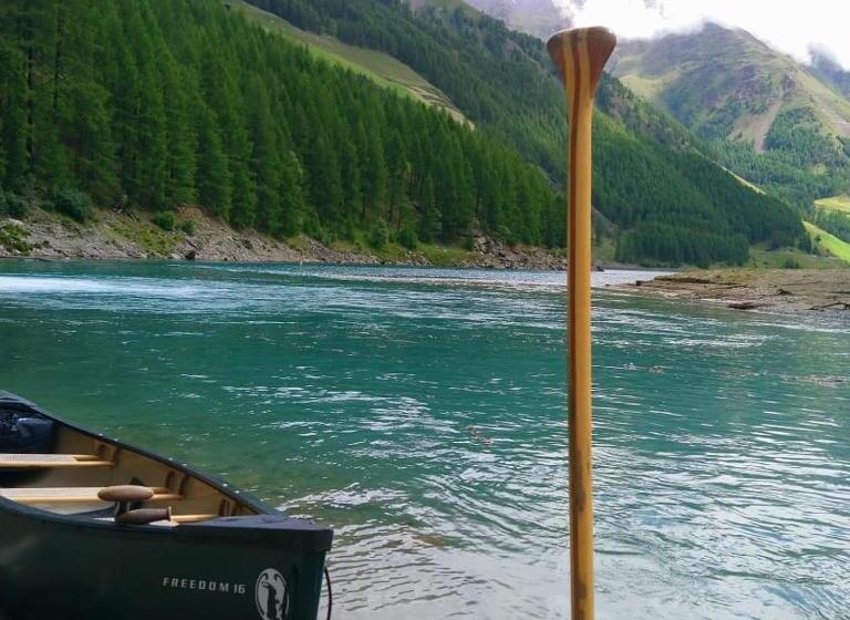 带1个卧室的公寓, Alpenrose