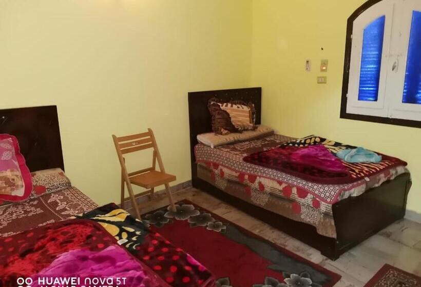 اتاق لوکس با تخت بزرگ, King Nubian Guest House