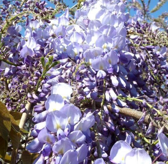 ファミリールーム, Chambres D'hotes Du Haut Anjou