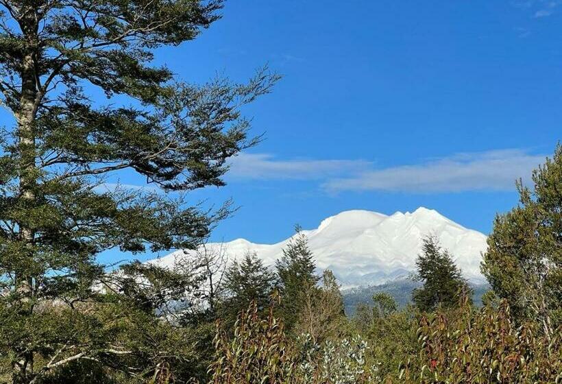 Economy Éénpersoonskamer, Hospedaje Hamiltons Place