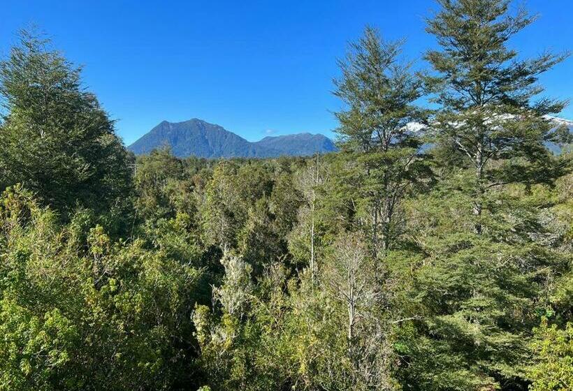 Economy Kamer, Hospedaje Hamiltons Place