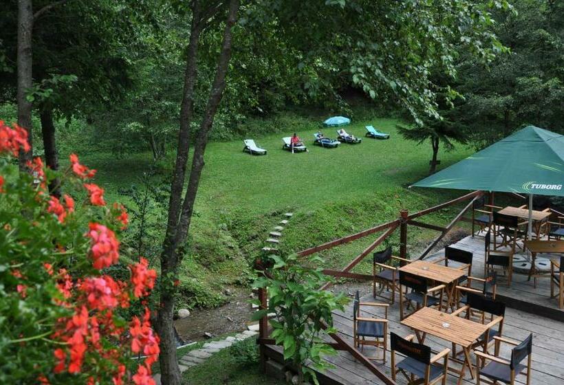 اتاق استاندارد, Pensiunea Anotimpuri