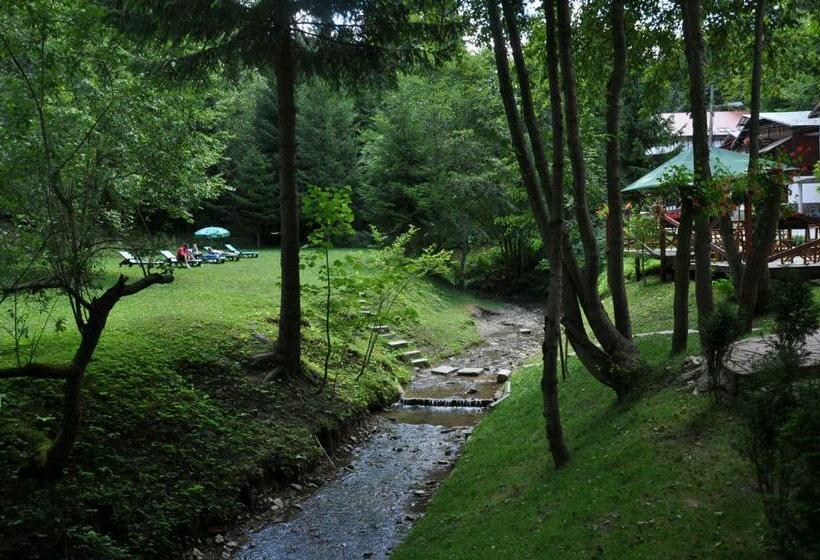 اتاق استاندارد, Pensiunea Anotimpuri