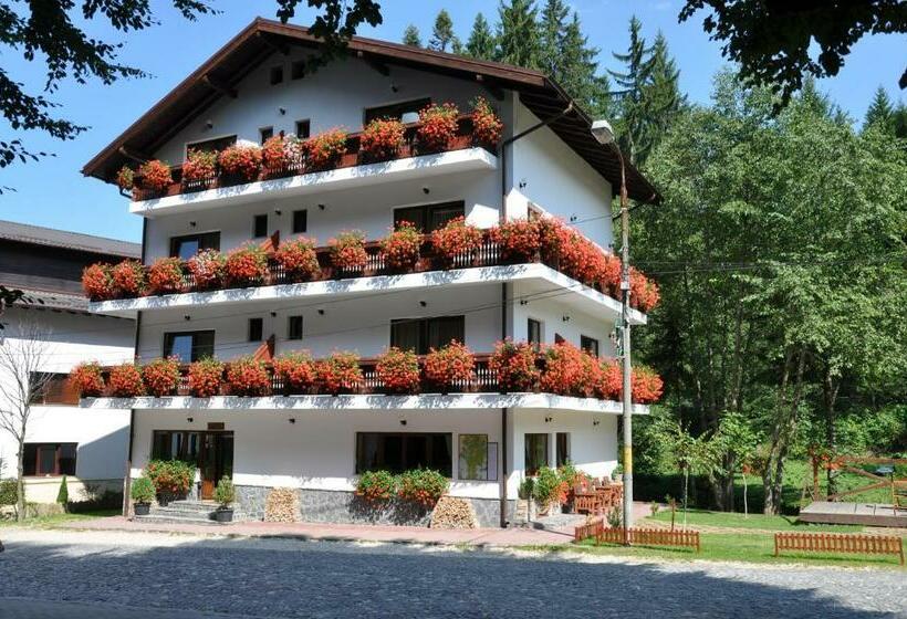 اتاق استاندارد, Pensiunea Anotimpuri