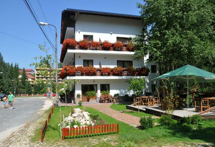 اتاق استاندارد, Pensiunea Anotimpuri