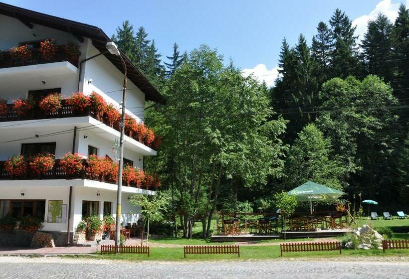 اتاق استاندارد, Pensiunea Anotimpuri