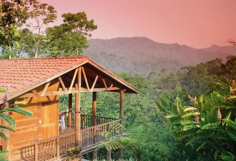ویلای 1 خوابه, Argovia Finca Resort