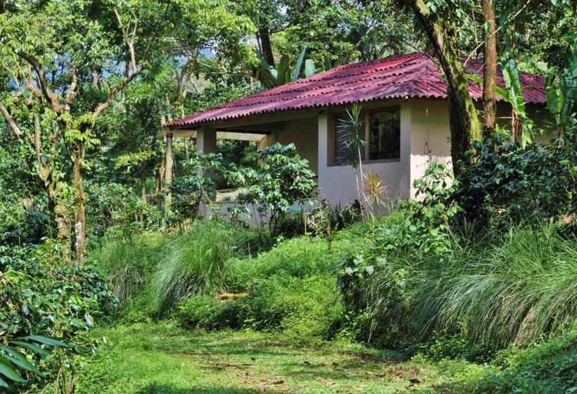 ビラホテル１ベッドルーム, Argovia Finca Resort