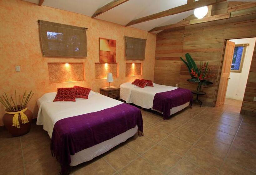 スイート, Argovia Finca Resort