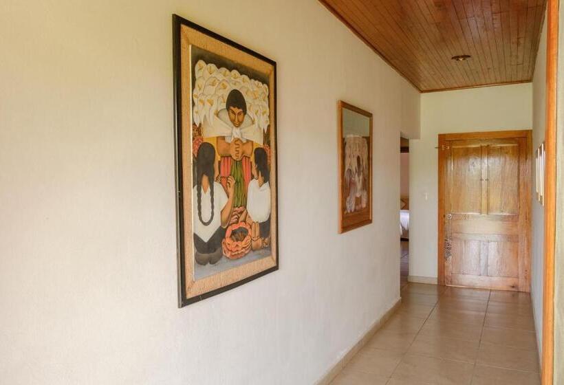 スタンダードルーム, Argovia Finca Resort