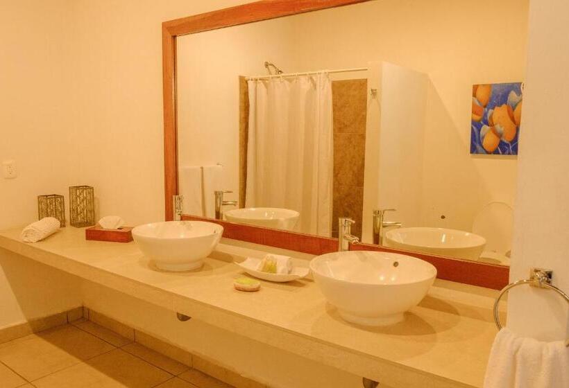 スタンダードルーム, Argovia Finca Resort