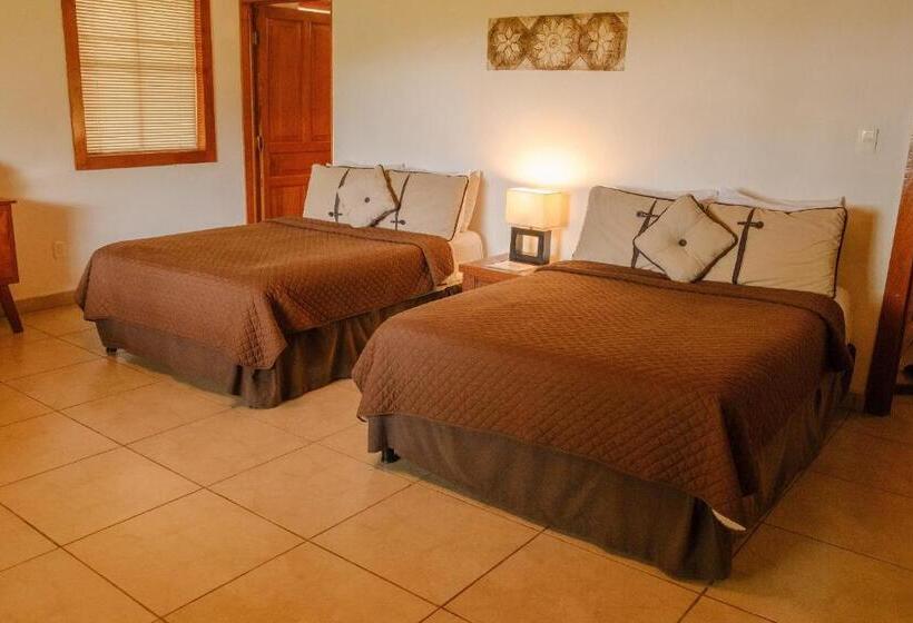 スタンダードルーム, Argovia Finca Resort