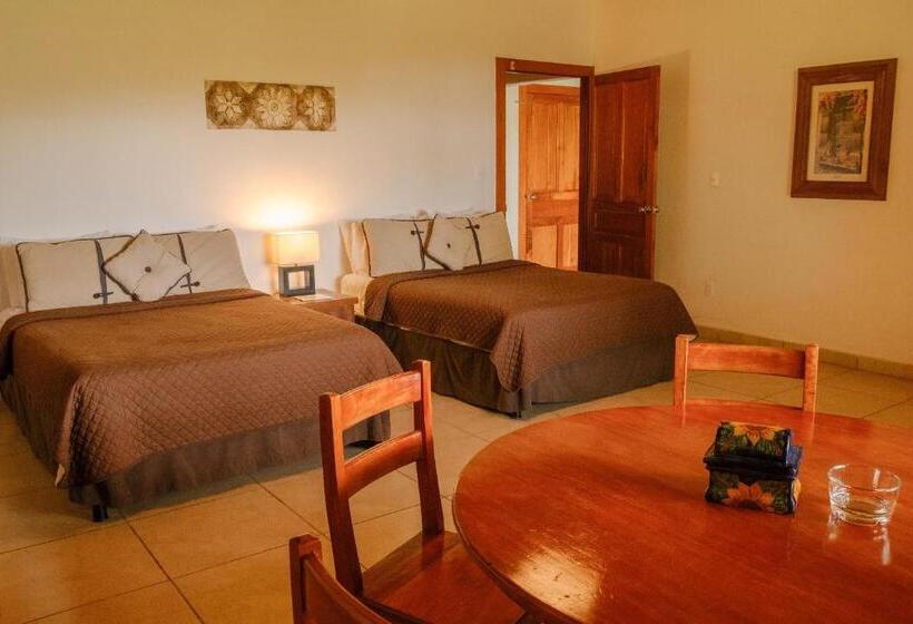 スタンダードルーム, Argovia Finca Resort