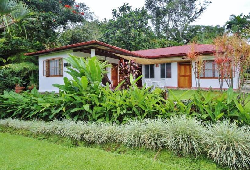 スタンダードルーム, Argovia Finca Resort