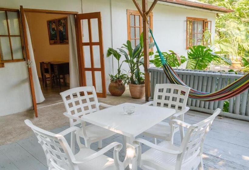スタンダードルーム, Argovia Finca Resort