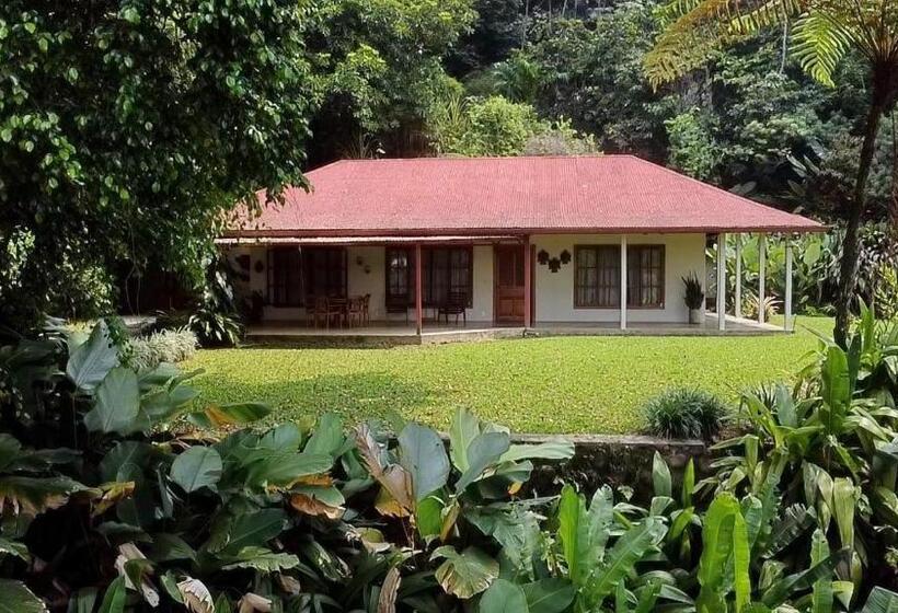 キャビン, Argovia Finca Resort