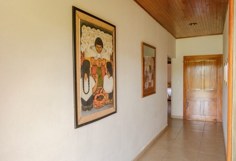 スタンダードルーム, Argovia Finca Resort