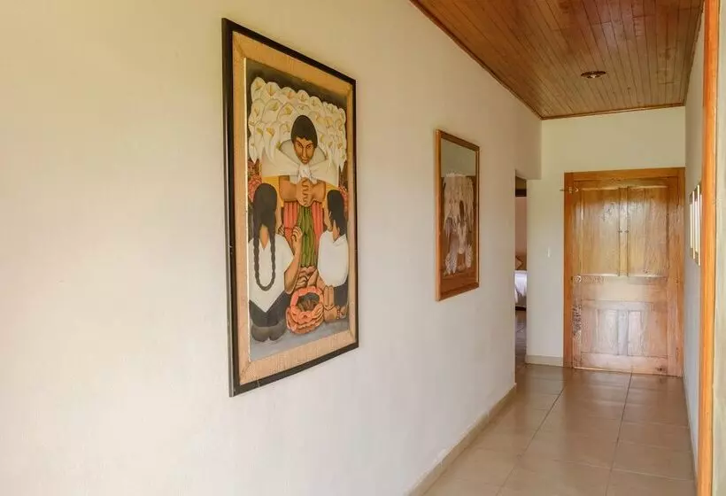 اتاق استاندارد, Argovia Finca Resort