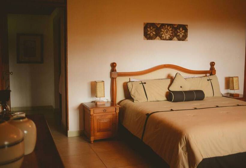 スタンダードルーム, Argovia Finca Resort