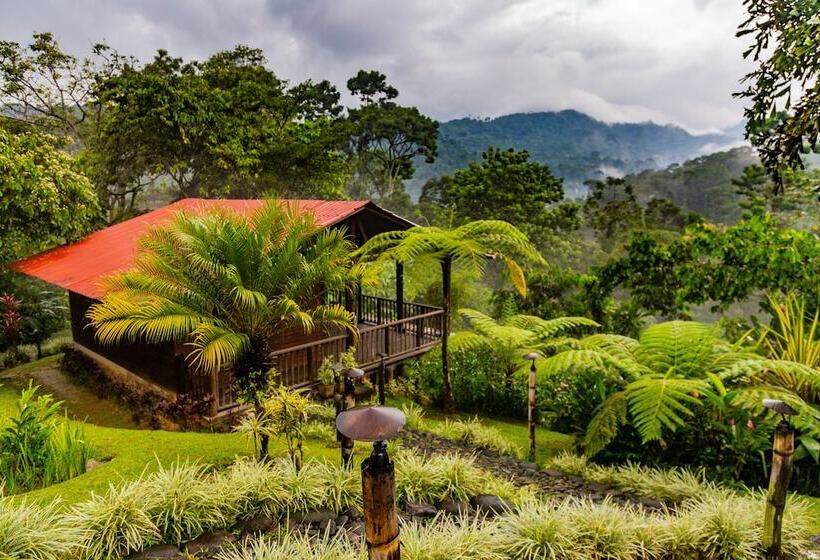 キャビン, Argovia Finca Resort